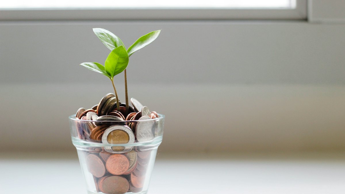Jeune pousse plantée dans des pièces de monnaie
